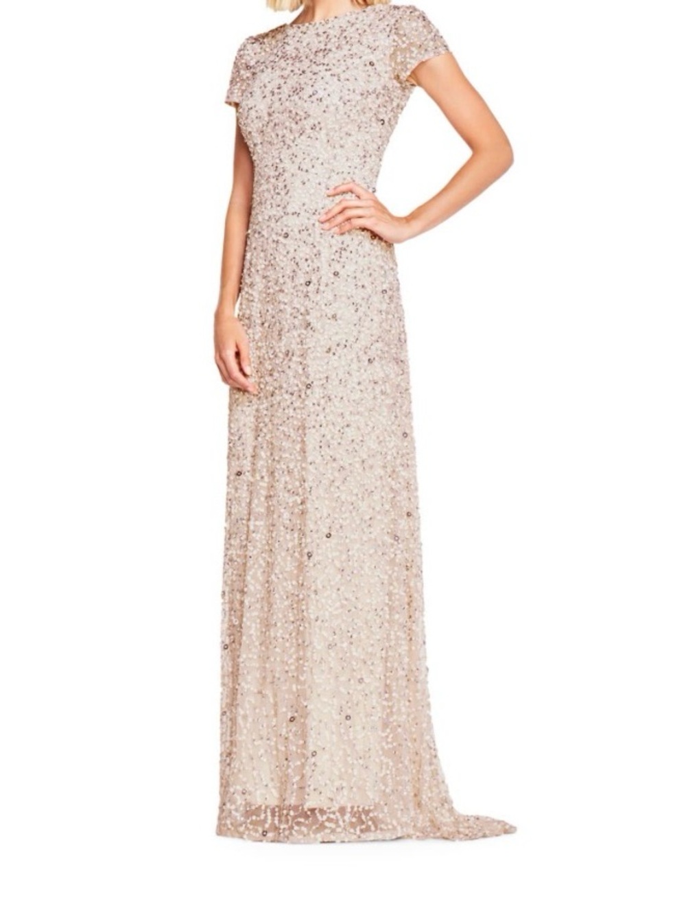Adrianna Papell Beaded Evening Gown - Blush-size 8